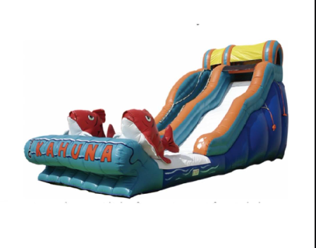 Big Kahuna Dry and Waterslide Inflatable