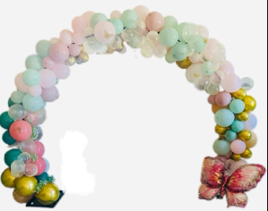 Organic Balloon Arch Prices Starting At: